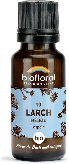 BIOFLORAL - 19 Larch, Mélèze BIO - Espoir - Fleur de Bach Authentique - 470 Granules - Sans Alcool