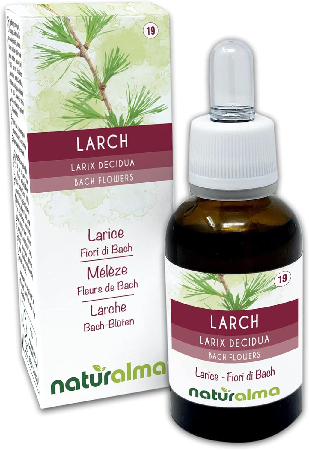 Larch ou Mélèze (Larix decidua) Fleurs de Bach Naturalma - Gouttes 30 ml - Extrait liquide sans alcool - Essences florales - Vegan et sans alcool