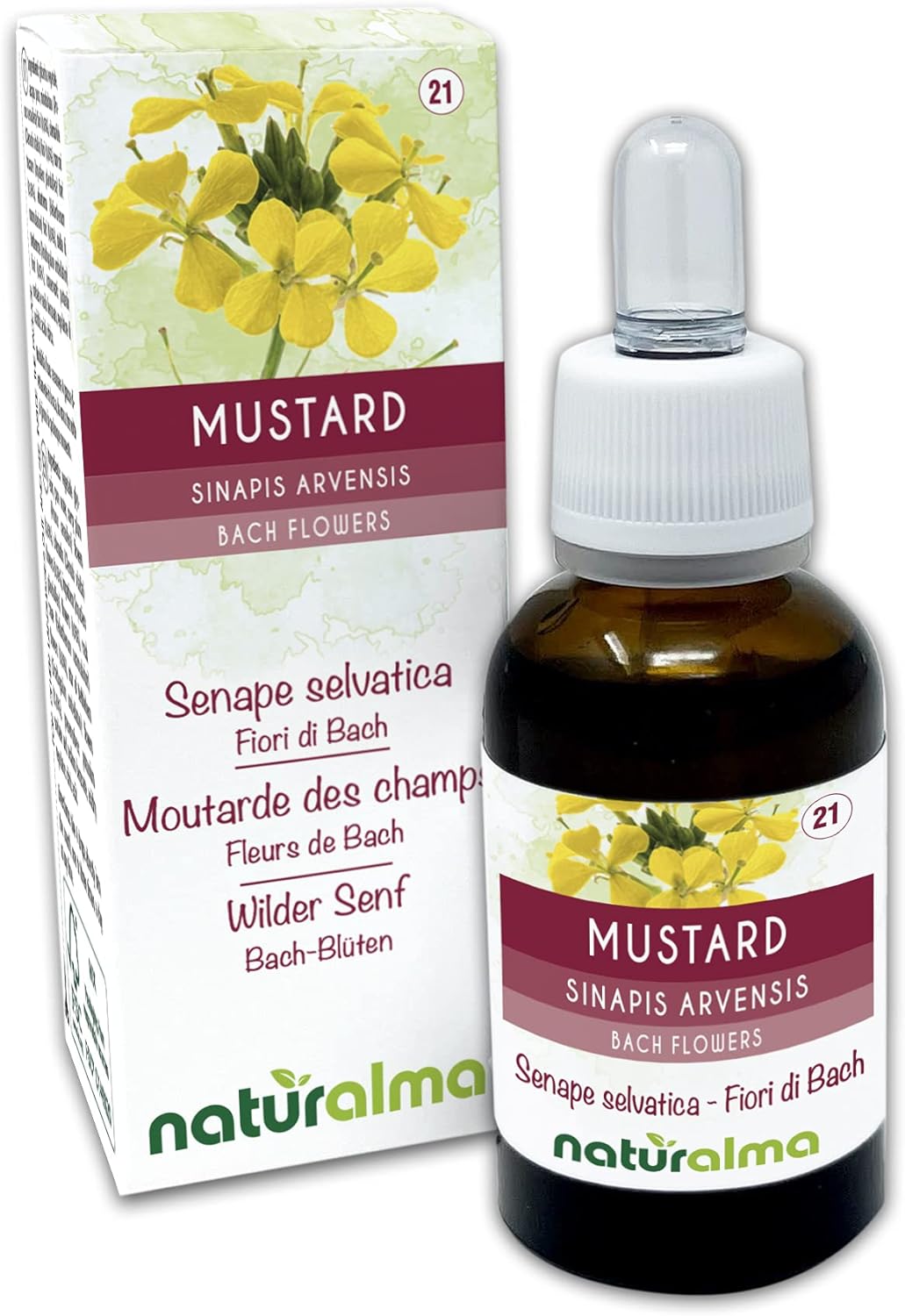 Mustard ou Moutarde des champs (Sinapis arvensis) Fleurs de Bach Naturalma - Gouttes 30 ml - Extrait liquide sans alcool - Essences florales - Vegan et sans alcool