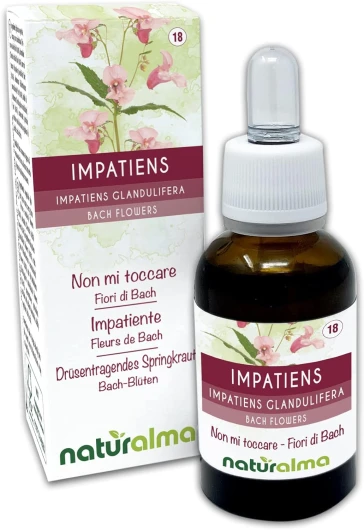 Impatiens ou Impatiente (Impatiens glandulifera) Fleurs de Bach Naturalma - Gouttes 30 ml - Extrait liquide sans alcool - Essences florales - Vegan et sans alcool