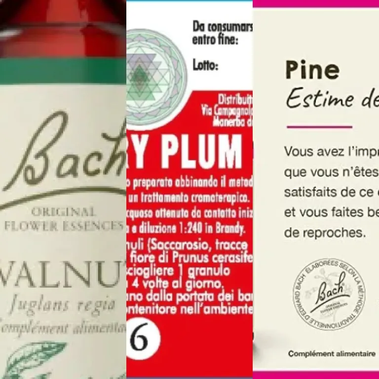 Top 7 des meilleurs fleurs de Bach originelles unitaires (2026)