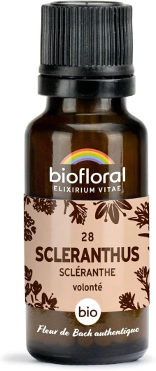 BIOFLORAL - 28 Scleranthus, Scléranthe BIO - Fleur de Bach Authentique - 470 Granules - Volonté - Sans Alcool