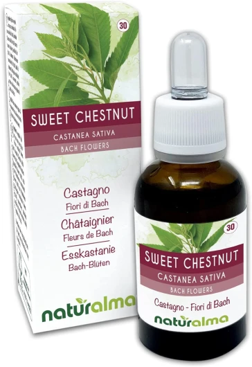 Sweet chestnut ou Châtaignier (Castanea sativa) Fleurs de Bach Naturalma - Gouttes 30 ml - Extrait liquide sans alcool - Essences florales - Vegan et sans alcool