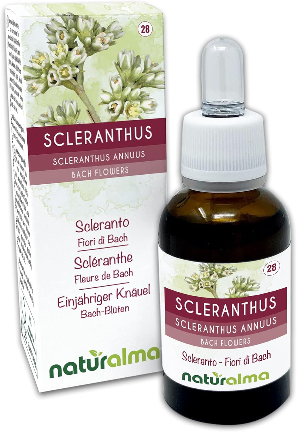 Scleranthus ou Scléranthe (Scleranthus annuus) Fleurs de Bach Naturalma - Gouttes 30 ml - Extrait liquide sans alcool - Essences florales - Vegan et sans alcool