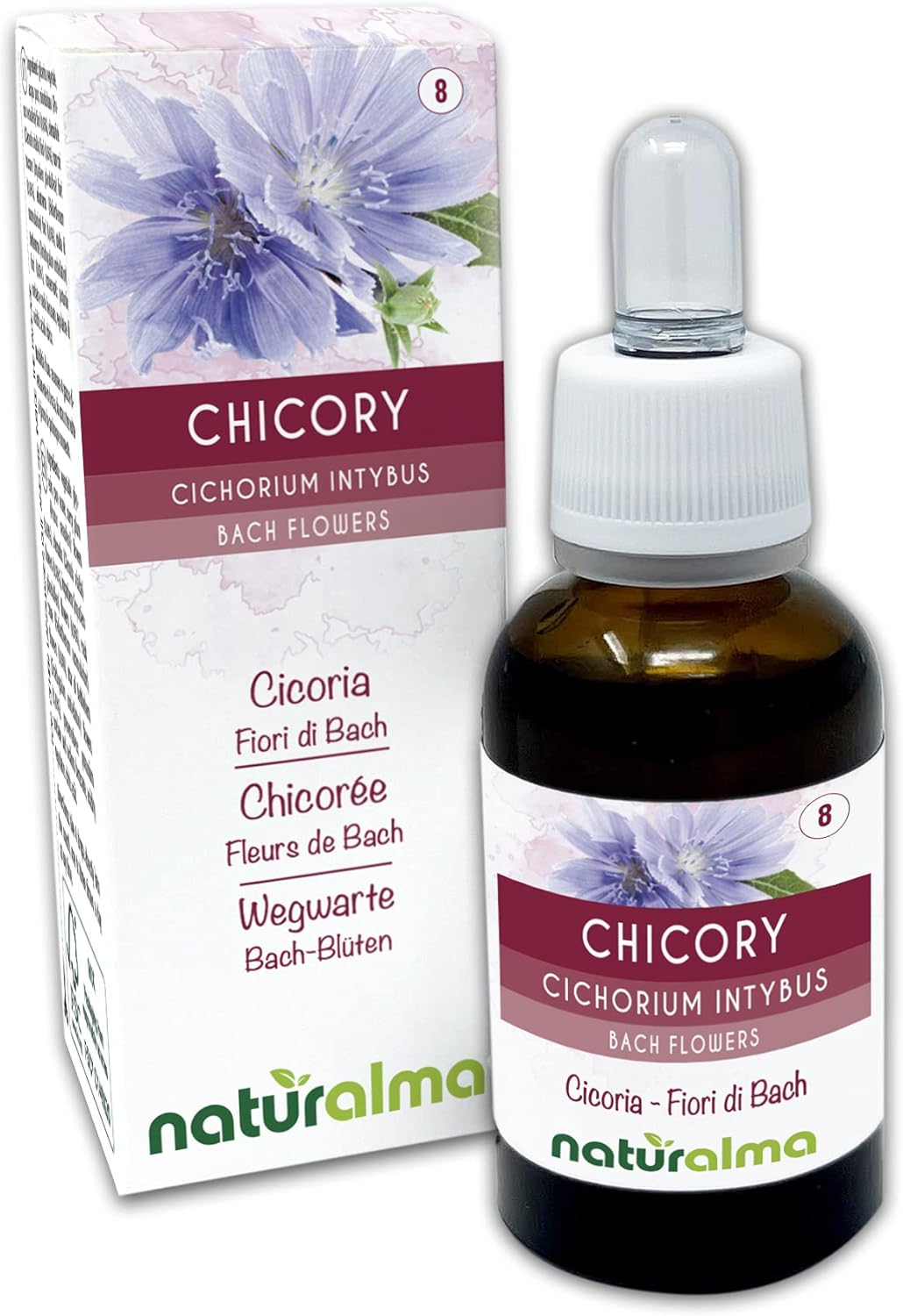 Chicory ou Chicorée (Cichorium intybus) Fleurs de Bach Naturalma - Gouttes 30 ml - Extrait liquide sans alcool - Essences florales - Vegan et sans alcool