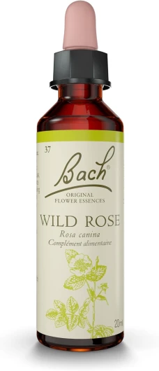 , Wild Rose, No 37, pour plus d'ambition, aide à retrouver de l'intérêt - Elixir floral naturel pour le bien-être émotionnel - Compte-Gouttes 20ml, Vegan 20 ml (Lot de 1) Motivation