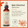 Test Fleurs de Bach Red Chestnut n°25 : pour arrêter de trop s’inquiéter pour les autres (ou au moins essayer)