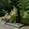 Fleurs de Bach, plantes sauvages et cultivées : comment créer une harmonie émotionnelle durable
